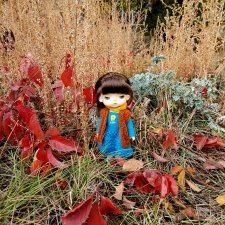 На прогулке осенним днем. Моя Лю от Xiaomi