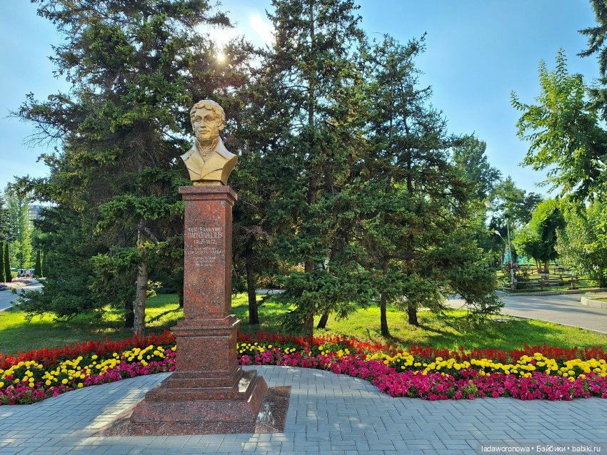 Мишель,Кот и немного Саратова