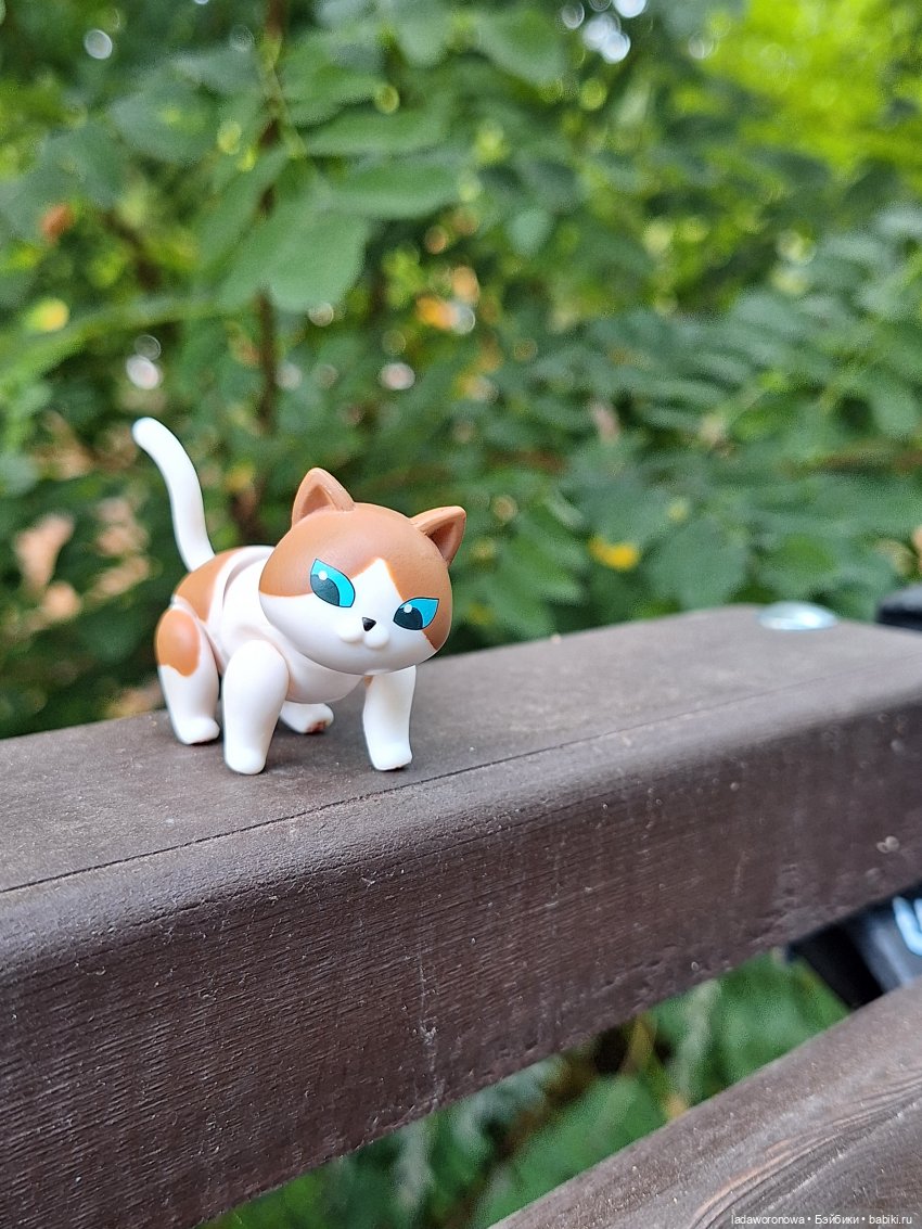 Мишель,Кот и немного Саратова (фото 4)