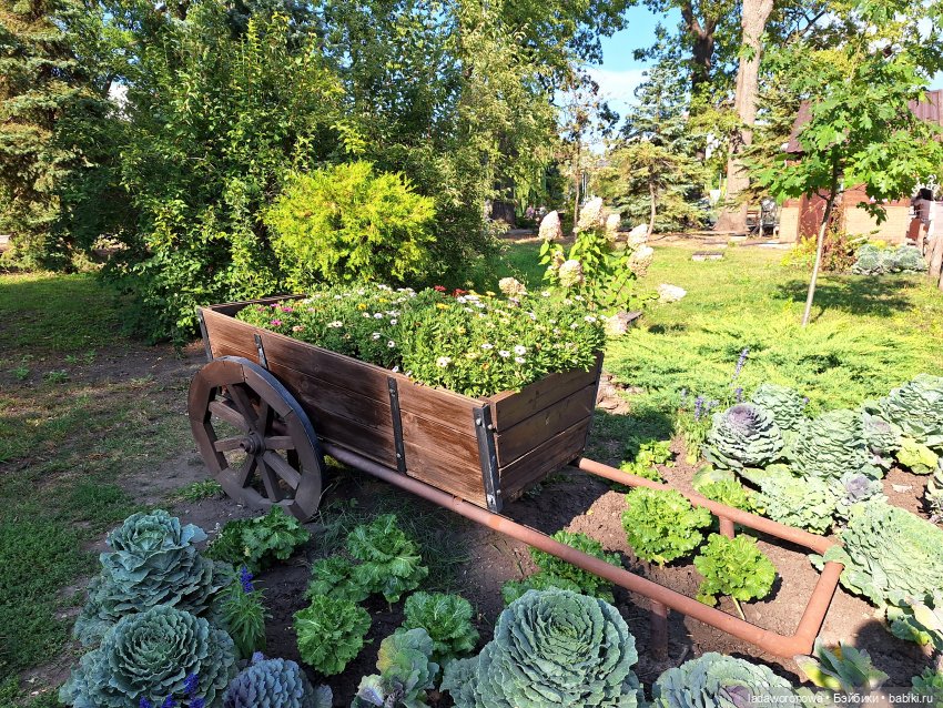 Мишель,Кот и немного Саратова