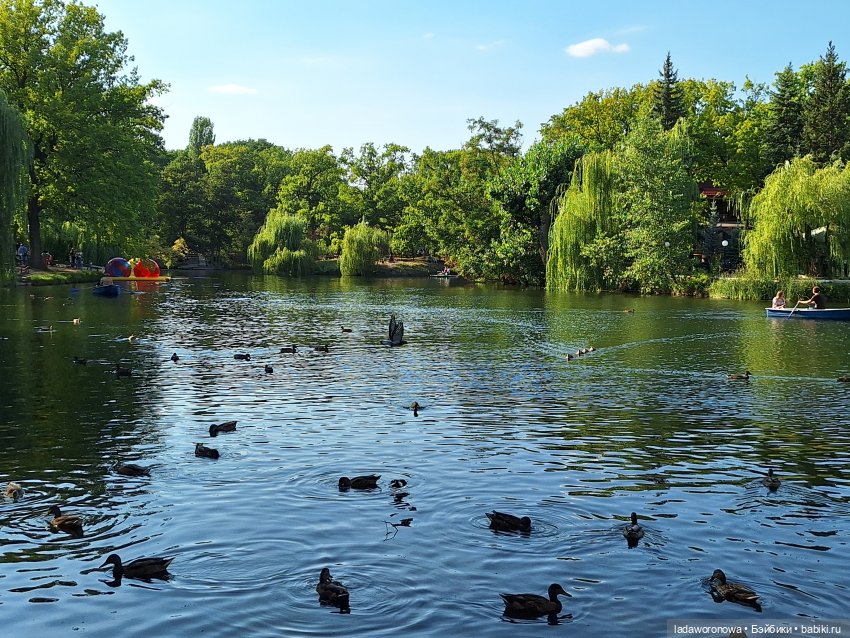 Мишель,Кот и немного Саратова