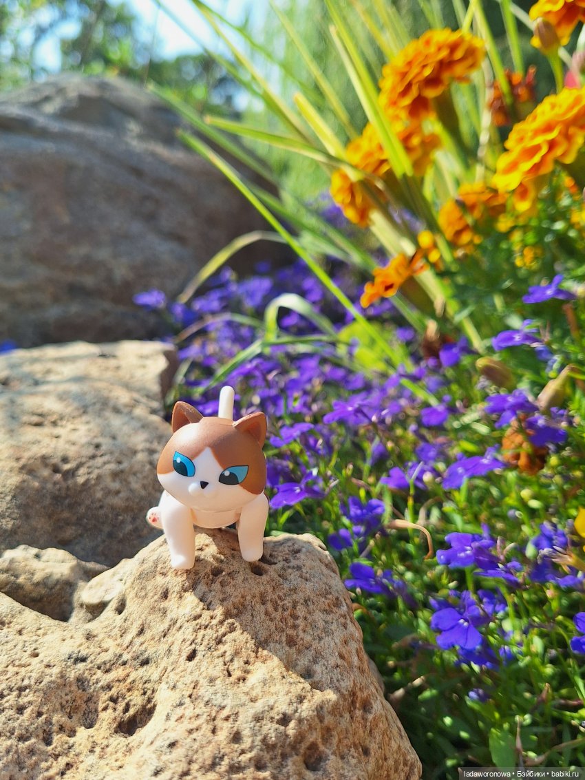 Мишель,Кот и немного Саратова (фото 8)