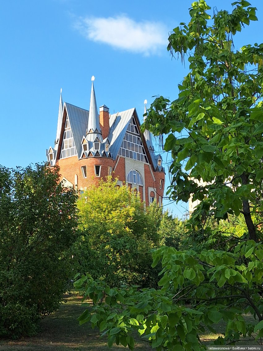 Мишель,Кот и немного Саратова