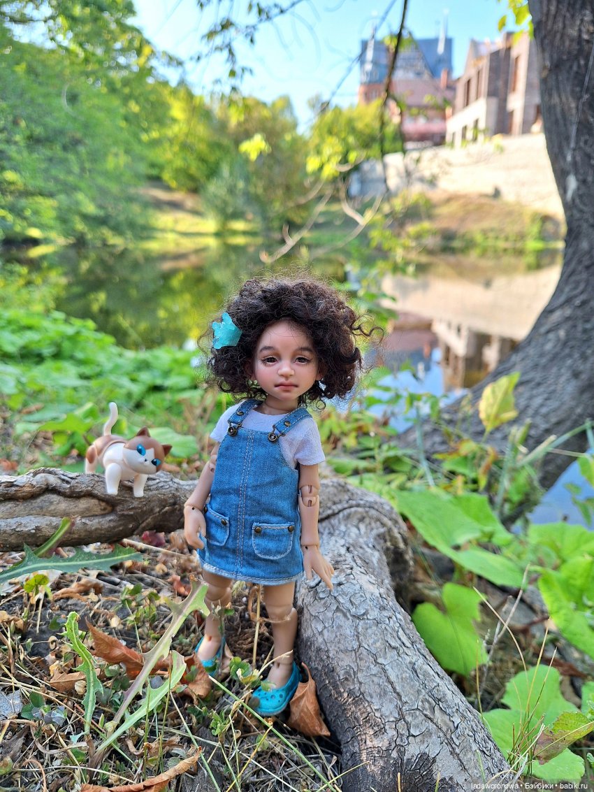 Мишель,Кот и немного Саратова