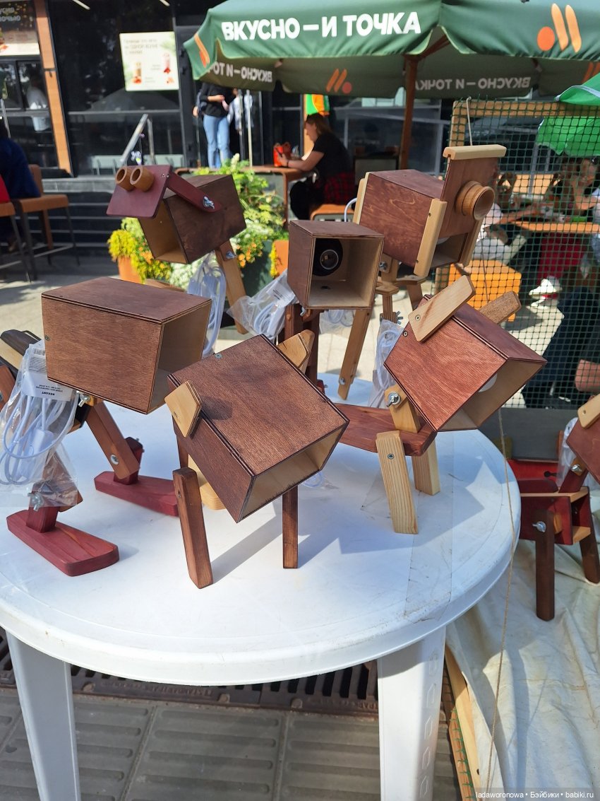 Мишель,Кот и немного Саратова (фото 2)