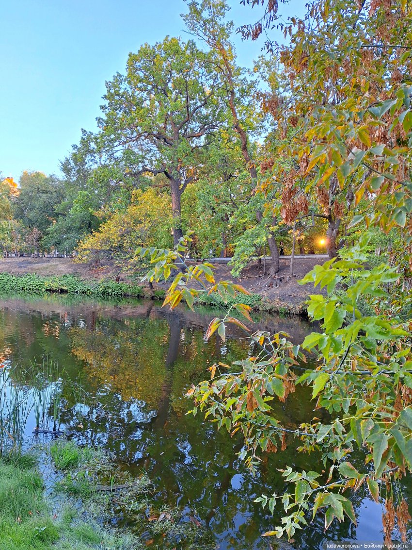 Лето продолжается — Куклы Qbaby (Кьюбейби) Rodgerdoll: для тела Ob11 (фото 8)