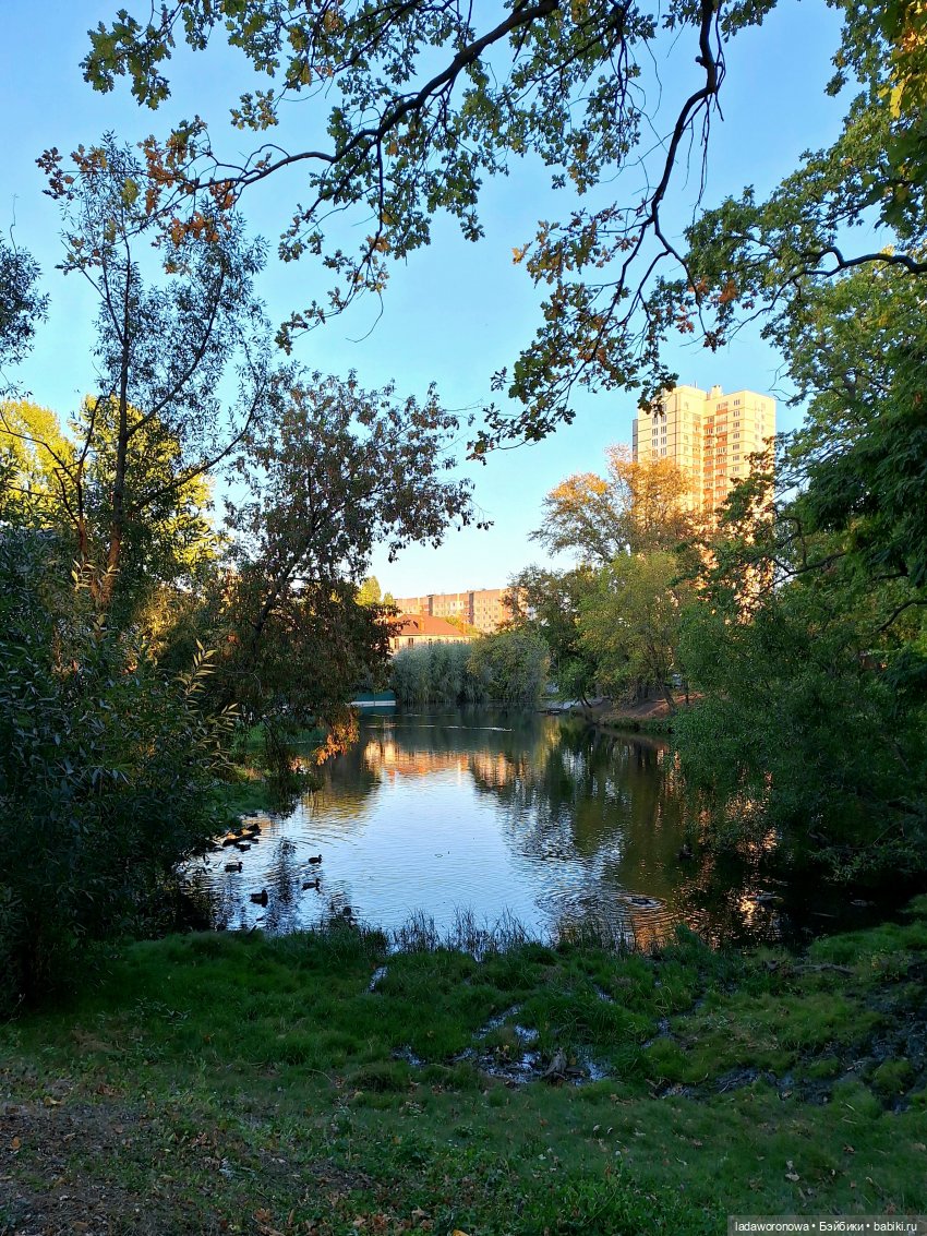 Лето продолжается — Куклы Qbaby (Кьюбейби) Rodgerdoll: для тела Ob11 (фото 7)