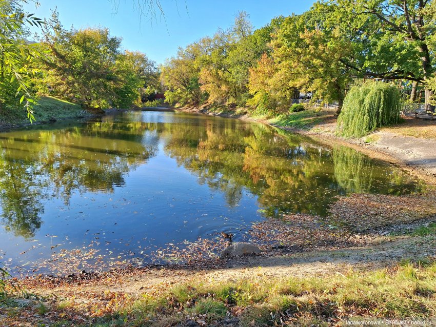 Лето продолжается — Куклы Qbaby (Кьюбейби) Rodgerdoll: для тела Ob11