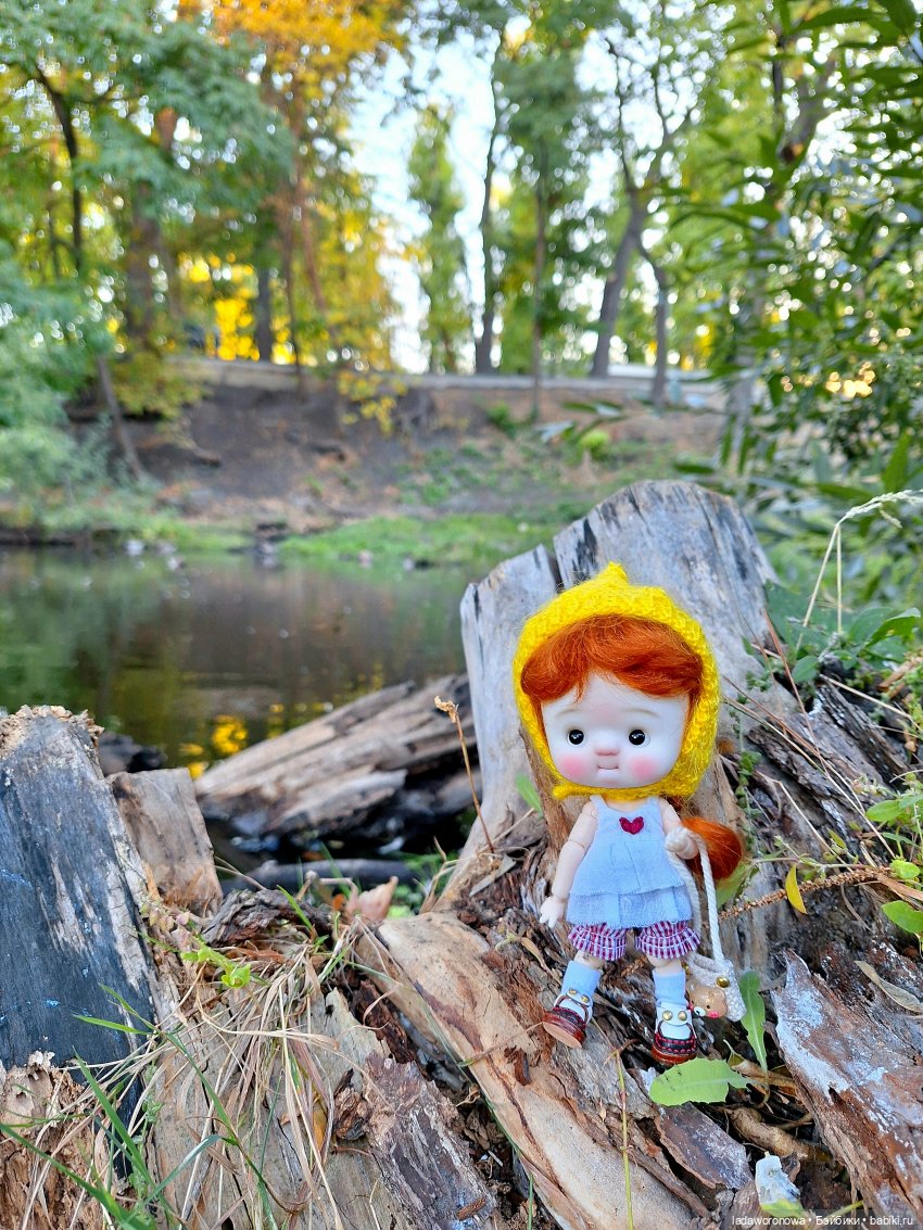 Лето продолжается — Куклы Qbaby (Кьюбейби) Rodgerdoll: для тела Ob11 (фото 9)