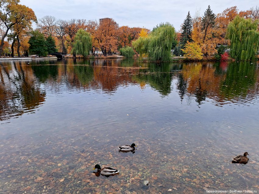 Осенние зарисовки 🍁 — Авторские куклы BJD (БЖД) у нас дома: фото (фото 5)