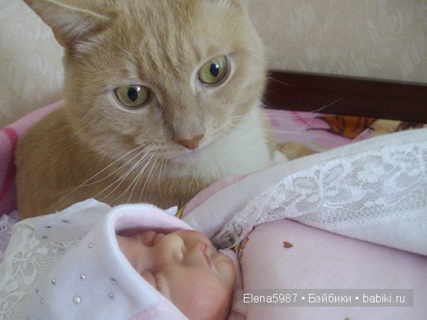 На прогулку. Ариша. Куколка реборн от Татьяны Цорн (фото 4)