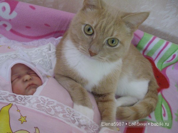 На прогулку. Ариша. Куколка реборн от Татьяны Цорн (фото 2)