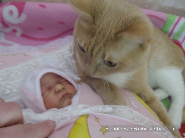 На прогулку. Ариша. Куколка реборн от Татьяны Цорн (фото 3)