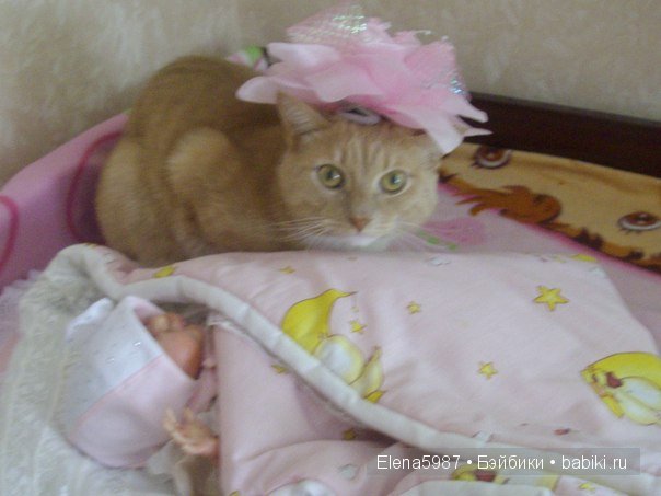 На прогулку. Ариша. Куколка реборн от Татьяны Цорн (фото 5)