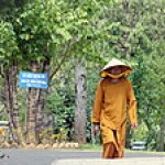 Прогулка по буддийскому монастырю (Вьетнам, ноябрь 2012)