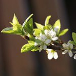 С Днём Победы!!!