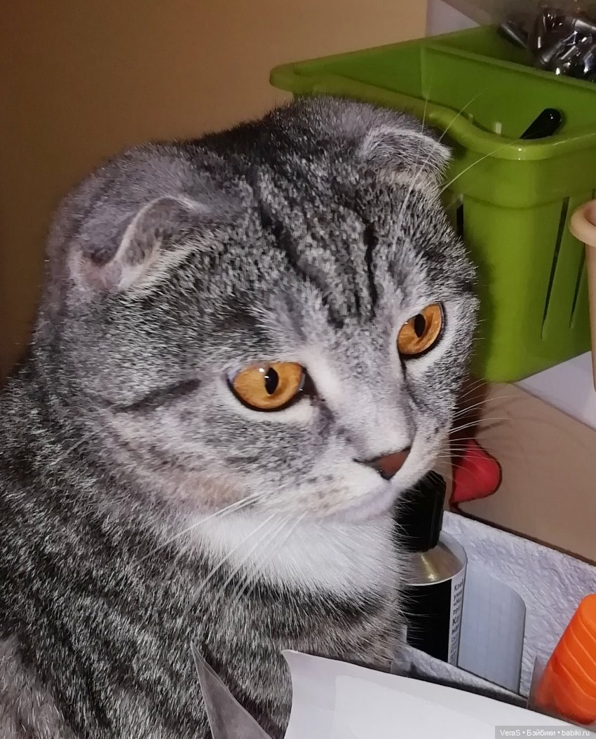 Фетр, букетик и ВЫКРОЙКА — Выкройки для кукол