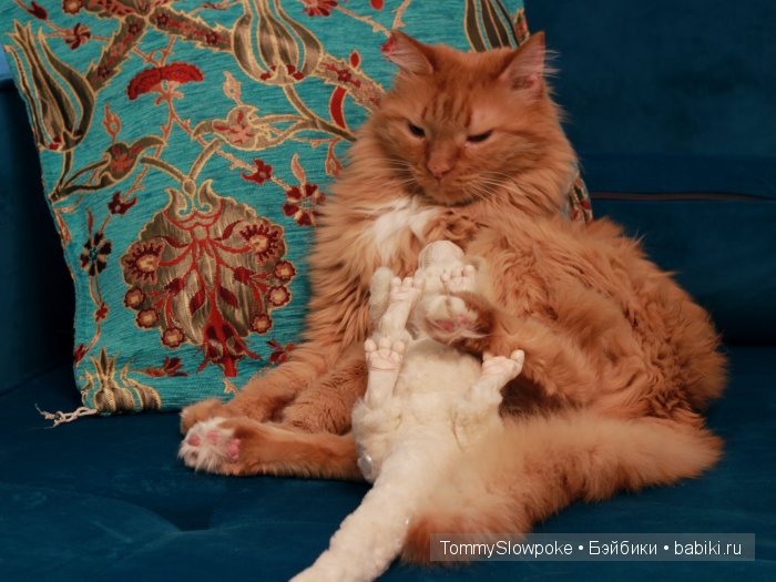 Фалькор, игрушка ручной работы