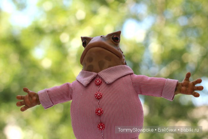 Жаба в пижамке. Игрушка ручной работы (фото 5)