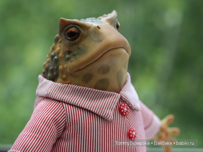Жаба в пижамке. Игрушка ручной работы (фото 2)