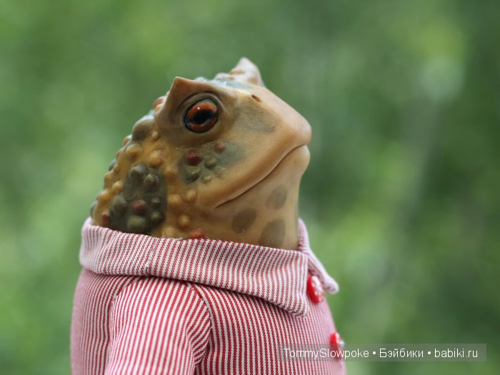 Жаба в пижамке. Игрушка ручной работы