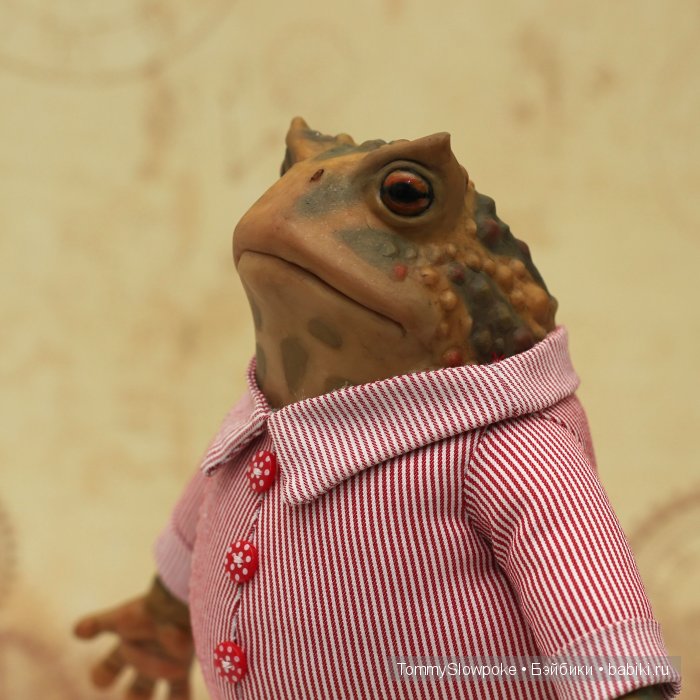 Жаба в пижамке. Игрушка ручной работы