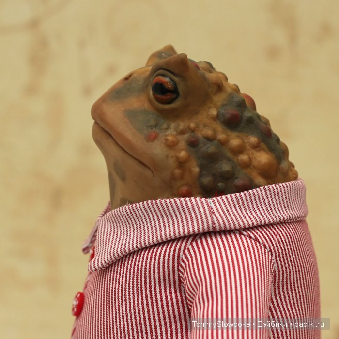 Жаба в пижамке. Игрушка ручной работы