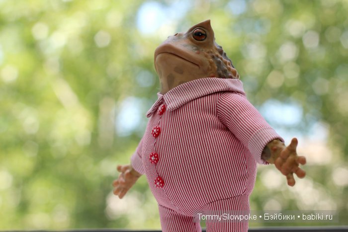 Жаба в пижамке. Игрушка ручной работы (фото 4)