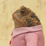 Жаба в пижамке. Игрушка ручной работы