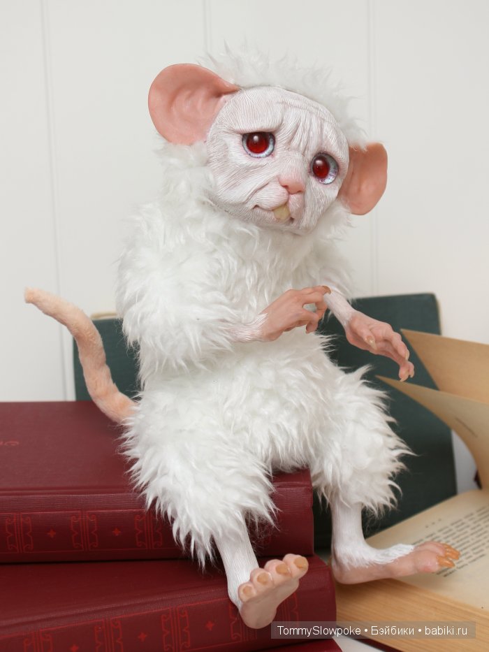 Перхоть — старая белая мышь (фото 9)