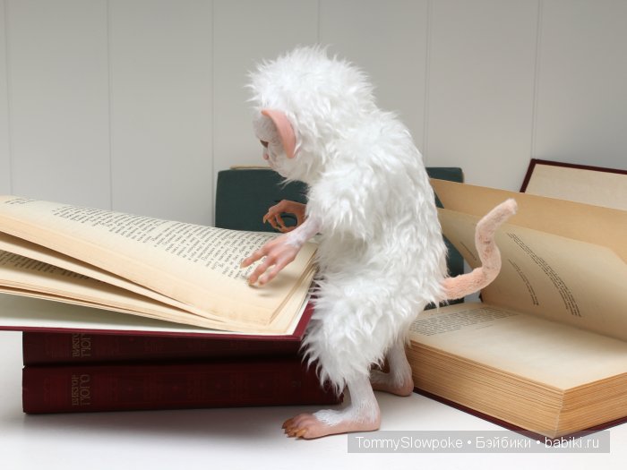 Перхоть — старая белая мышь (фото 7)