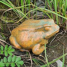 Керамические жабки