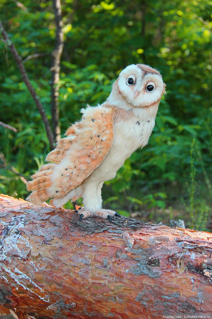 Сипуха — Игрушки в смешанной технике (мех и глина): Арт