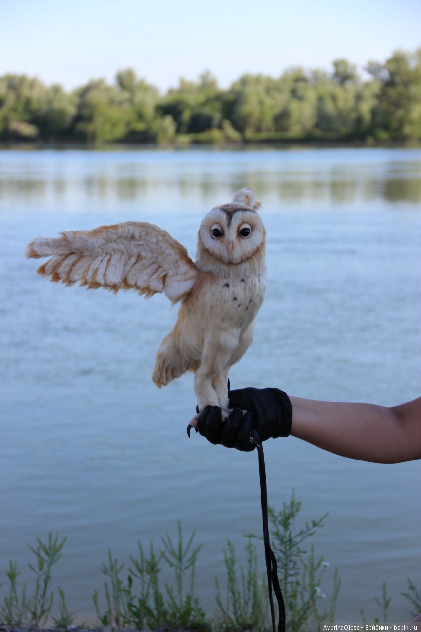 Сипуха — Игрушки в смешанной технике (мех и глина): Арт (фото 5)