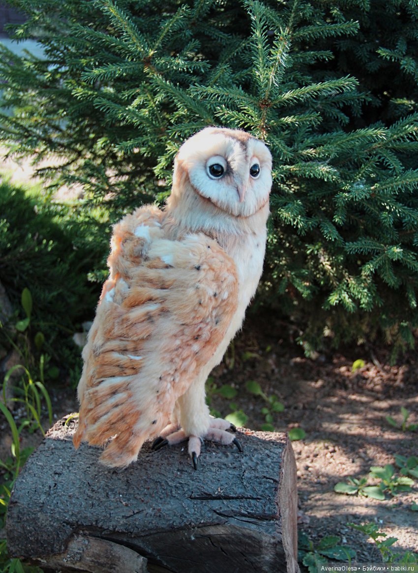 Сипуха — Игрушки в смешанной технике (мех и глина): Арт (фото 8)