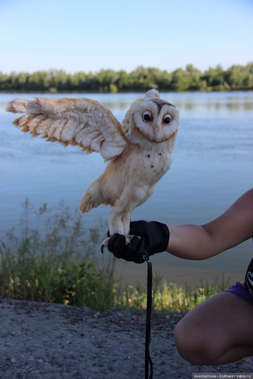 Сипуха — Игрушки в смешанной технике (мех и глина): Арт (фото 6)