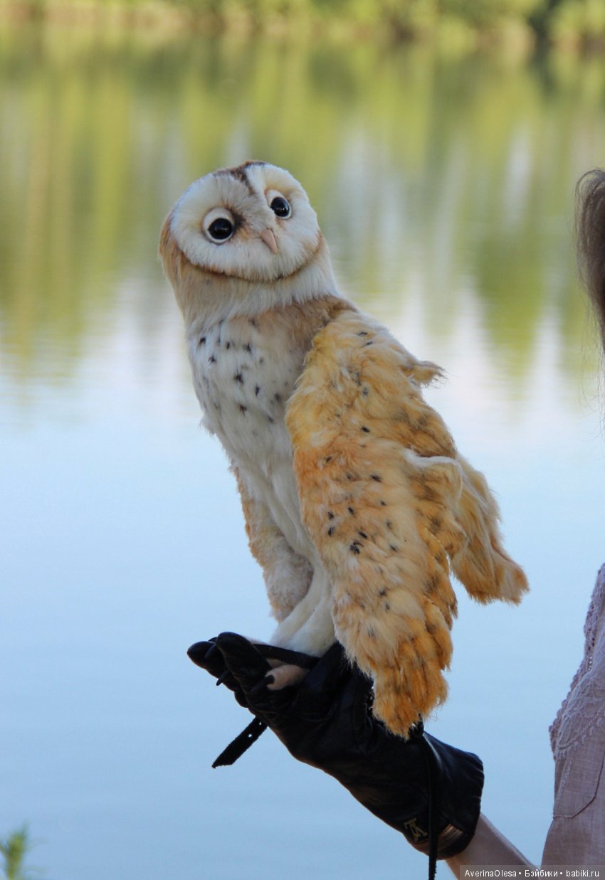 Сипуха — Игрушки в смешанной технике (мех и глина): Арт (фото 9)