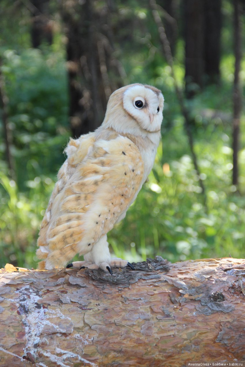 Сипуха — Игрушки в смешанной технике (мех и глина): Арт