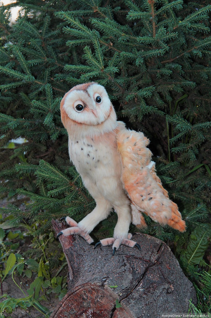 Сипуха — Игрушки в смешанной технике (мех и глина): Арт (фото 4)