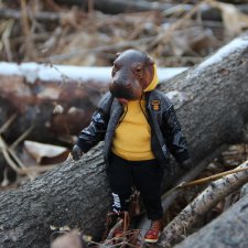 Знакомство с зимой