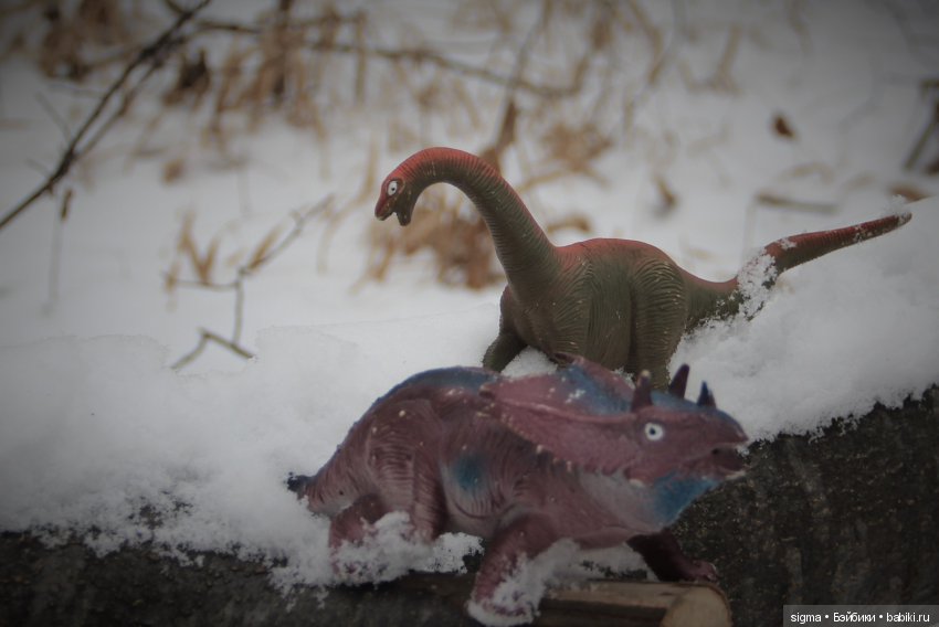 Происшествие на шахте Gold Mine (фото 10)