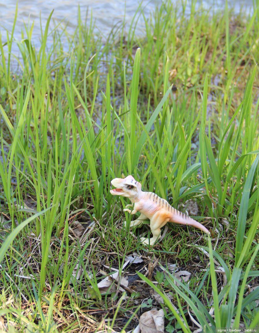 Большая прогулка - незапланированный путь (фото 9)