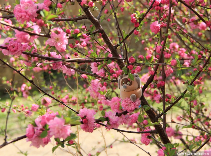 Большая прогулка - незапланированный путь (фото 2)