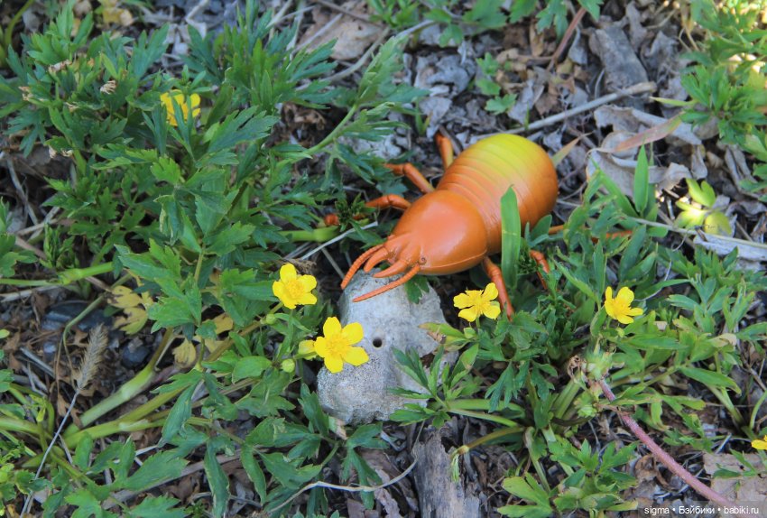 Большая прогулка - незапланированный путь (фото 3)