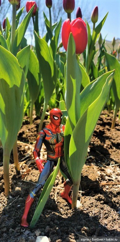 Большая прогулка - незапланированный путь (фото 4)