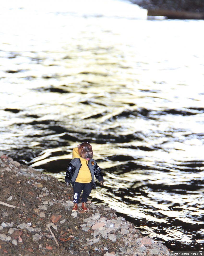 Большая прогулка - незапланированный путь (фото 10)