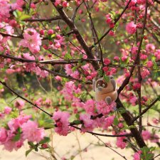 Большая прогулка -  незапланированный путь