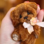 Новые малыши теддики в подарочных коробочках