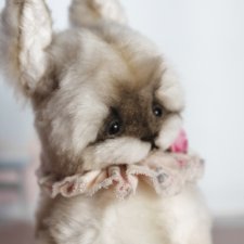 Новые малыши теддики