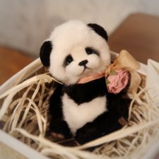 Мои новые зверята